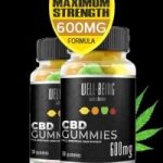 Where And How To Order Wellbeing Labs CBD Gummies In Your City?