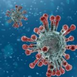 The Truth About CoronaVirus Survivor Plan