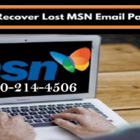 MSN Email